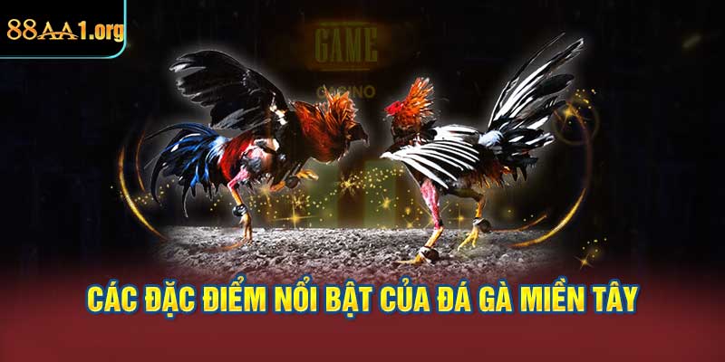 Các đặc điểm nổi bật của đá gà miền tây