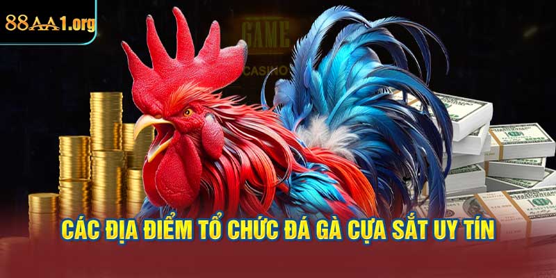 Các địa điểm tổ chức đá gà cựa sắt uy tín