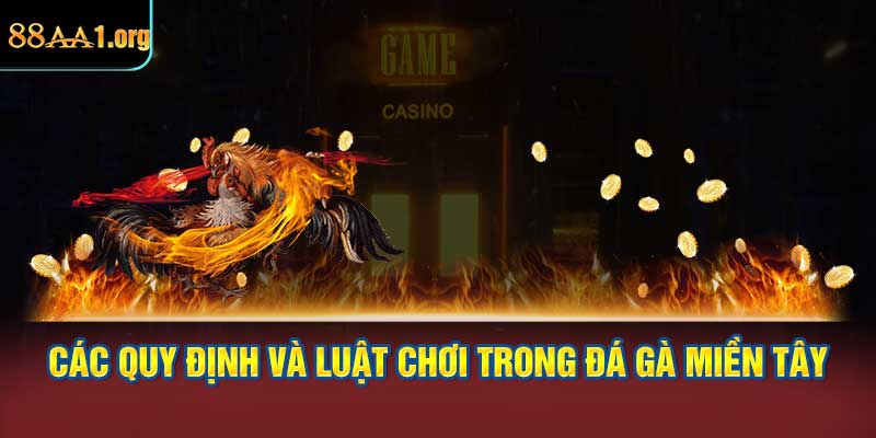 Các quy định và luật chơi trong đá gà miền tây