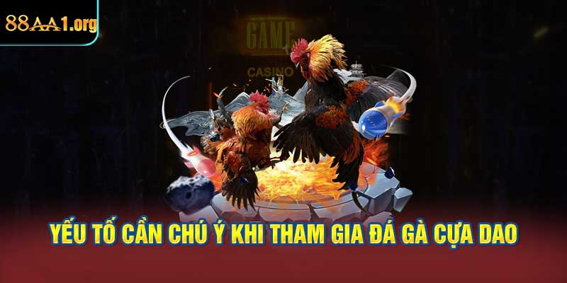 Những yếu tố cần chú ý khi tham gia đá gà cựa dao